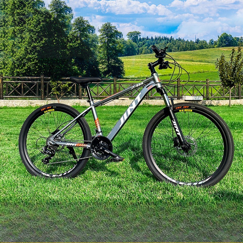 Hurtowy rower szosowy z alumin – Commuter Biking recenzja i cena